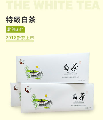 北纬33度 特级白茶 60g*4条