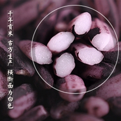 懿圃有机紫米胭脂米米中之王富含叶酸孕产妇最佳食补 1kg 散装
