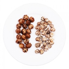 丹江口市珍珠菇小花菇小香菇土特产干货300g